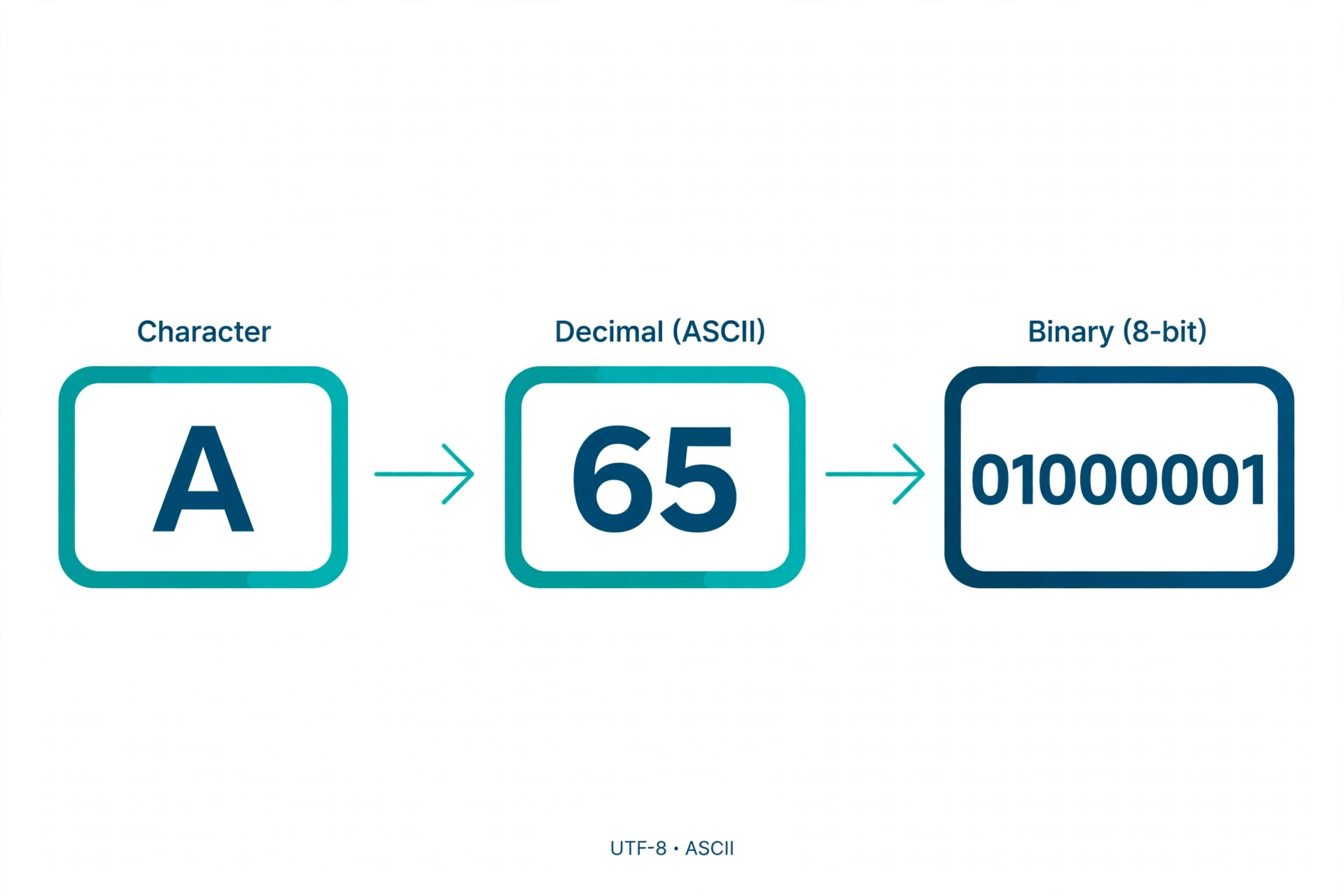 Minimal diagram showing text encoding: the letter A becoming the number 65, then the binary 01000001